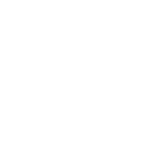 cat-icon